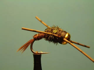 Rubber Bead Head Doctor Pheasant Tail (8)